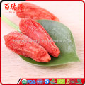 Zero pesticide goji berry goji berries dry goji berry with from ningxia